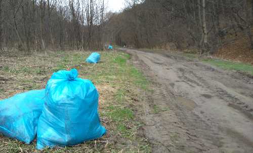 Zebrane śmieci w Dolinie Będkowskiej