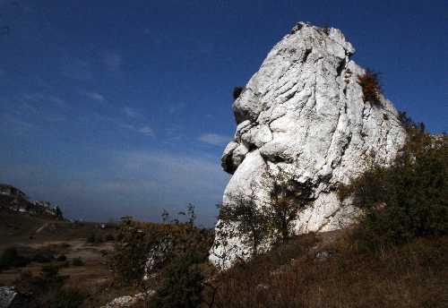 Szafa pod Olsztynem