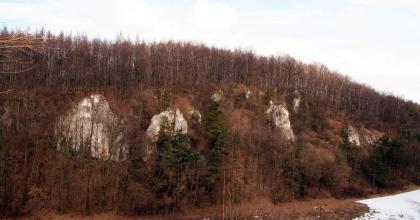 Wąwóz Ostryszni - nowe drogi wspinaczkowe