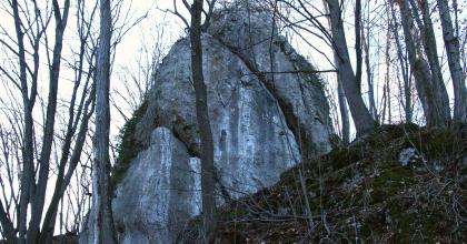 Wymiana asekuracji na Skale z Bluszczem