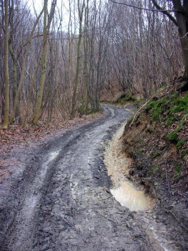 Zniszczona droga w Dolinie Będkowskiej 