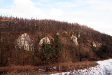 Wąwóz Ostryszni - nowe drogi wspinaczkowe