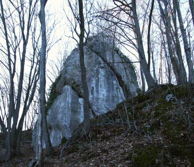 Wymiana asekuracji na Skale z Bluszczem