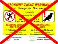 Wspinanie na szczytnickim Kruku dozwolone bez ograniczeń